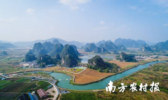 绿美广东图片1