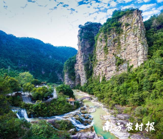 绿美广东图片1