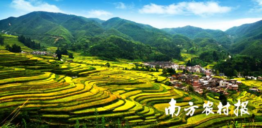 绿美广东图片1