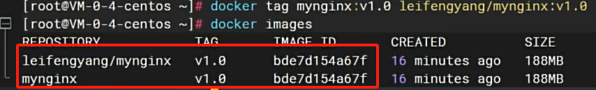 image-20240710105002484