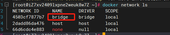 image-20240710113948042