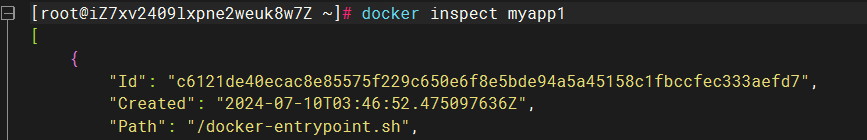 image-20240710114824261